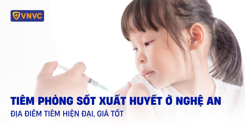 Đề Đặc Biệt Là Gì — Cách Phân Tích Xác Suất và Những Bí Quyết Chơi Hiệu Quả