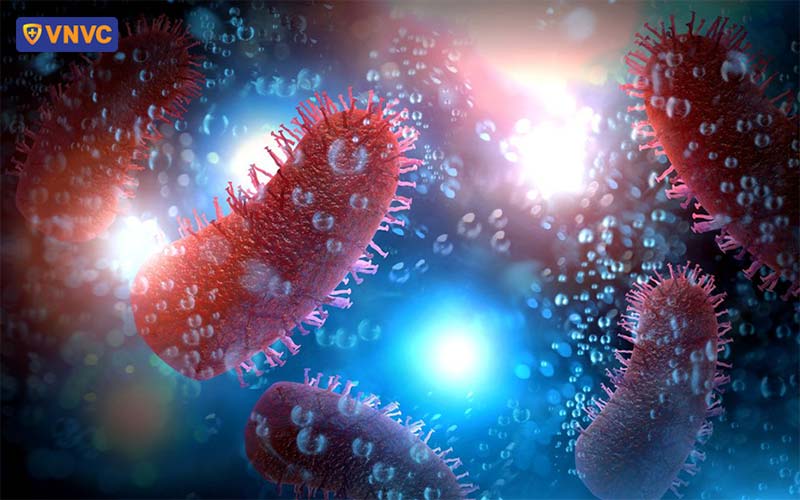 Rabies virus gây dại