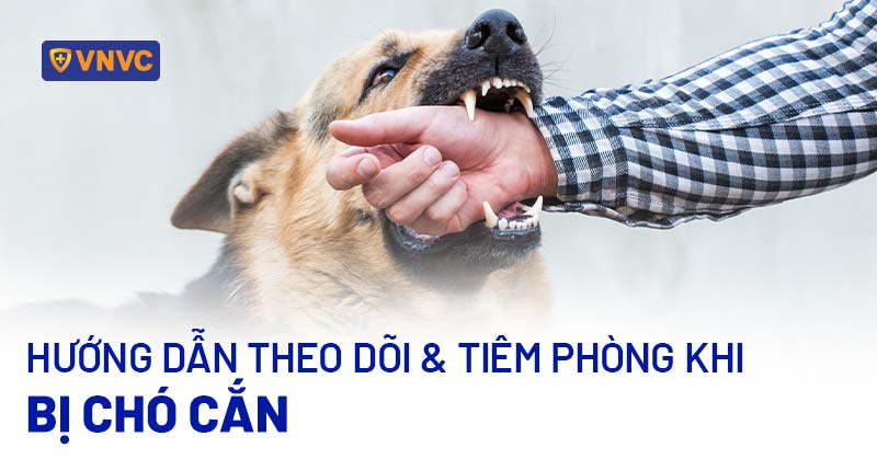 bị chó cắn theo dõi bao nhiêu ngày