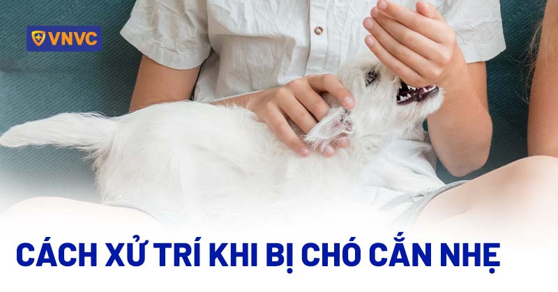 làm gì khi bị chó cắn nhẹ