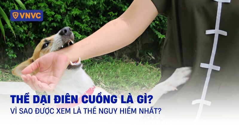 thể dại điên cuồng